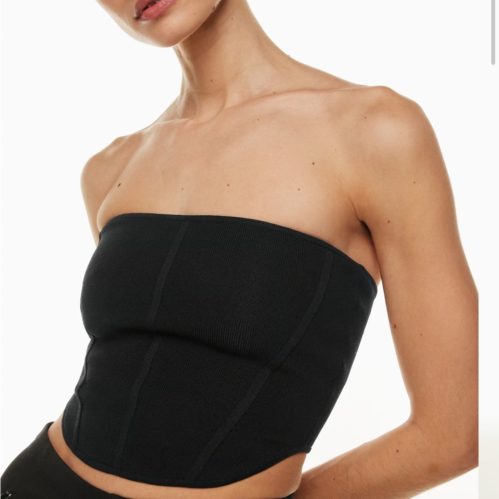 Aritzia Babaton row sculpt knit tube top
